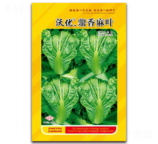 �������~-�~�˷N��-����(y��u)�r(n��ng)�I(y��)