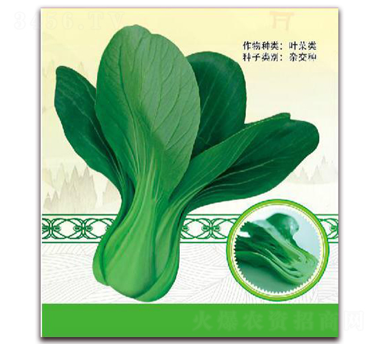 ��G��̖(h��o)-�~�˷N��-����(y��u)�r(n��ng)�I(y��)