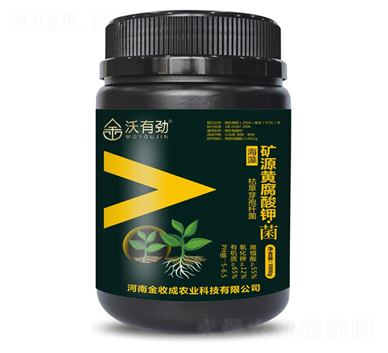 �VԴ�S����⛡���-���Є�-���ճ�