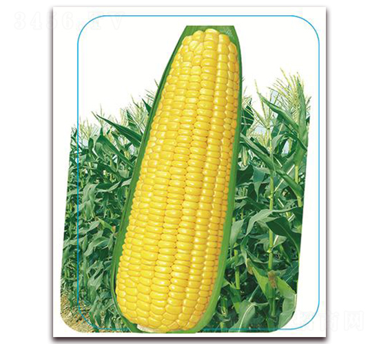 �փ�(y��u)���SŴ3000-Ŵ���׷N��-����(y��u)�r(n��ng)�I(y��)