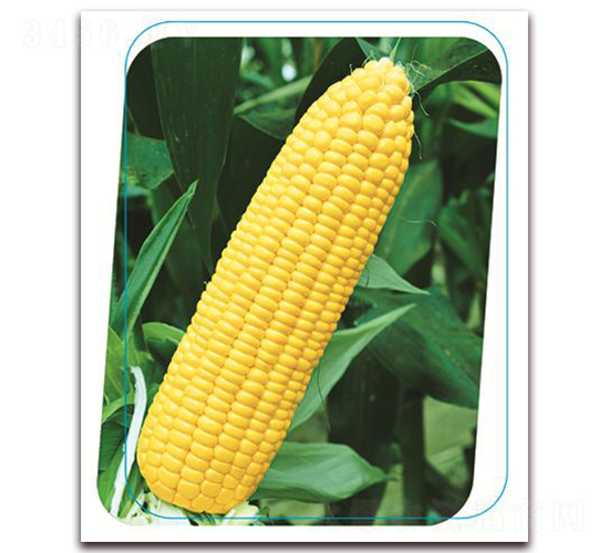 �փ�(y��u)�����r��-Ŵ���׷N��-����(y��u)�r(n��ng)�I(y��)