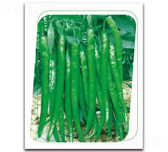 ����22-�����N��-����(y��u)�r(n��ng)�I(y��)