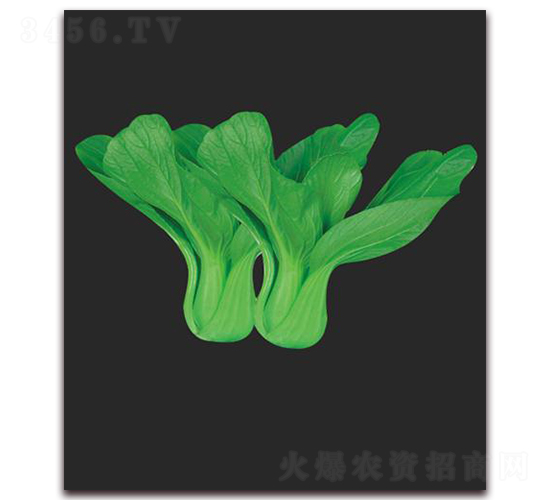 ����26-�~�˷N��-����(y��u)�r(n��ng)�I(y��)