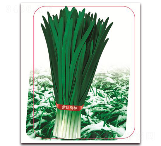 �փ�(y��u)ѩ��һ̖-�~�˷N��-����(y��u)�r�I(y��)