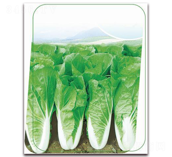 �փ�(y��u)���v-�~�˷N��-����(y��u)�r(n��ng)�I(y��)