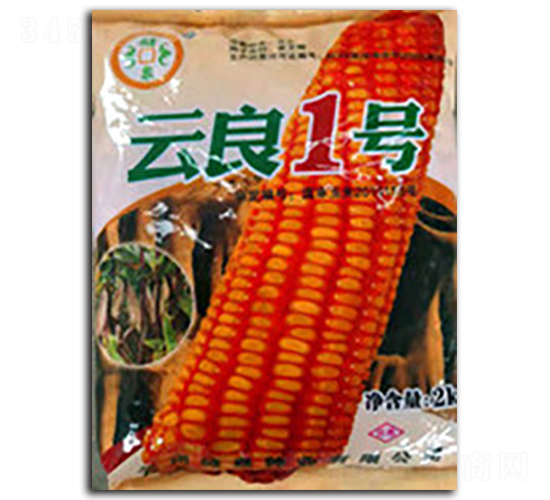 云良1號(hào)-儲(chǔ)泉種業(yè)