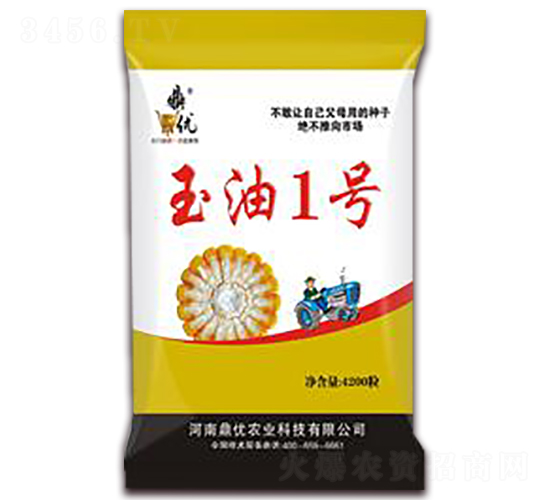 玉油一號-玉米種子-鼎優(yōu)農(nóng)業(yè)