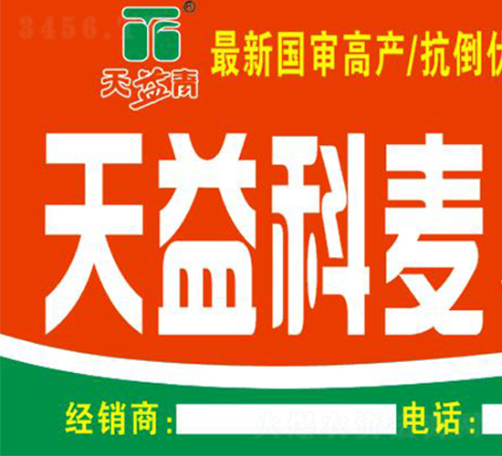 �������5̖-С���N��-�A��