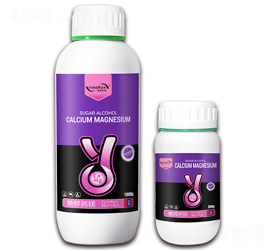 �Ǵ��}�V-ӯ���r�I(y��)