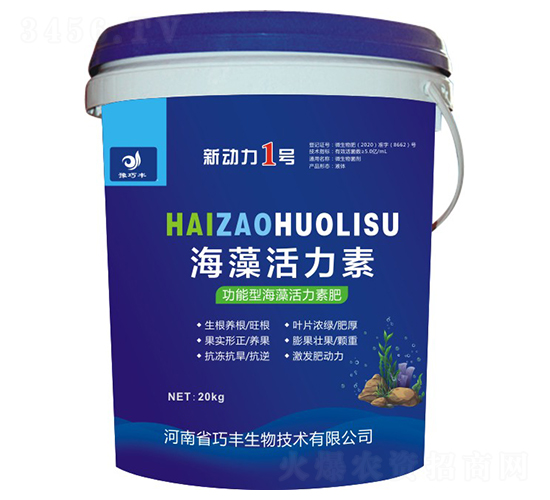 �����ͺ��������-����1̖-ԥ���S