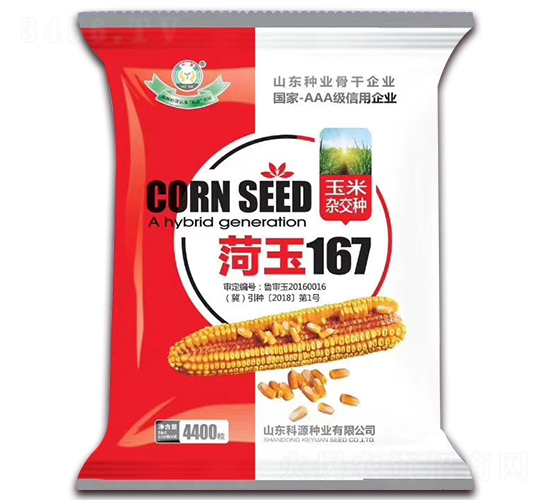 菏玉167-玉米種子-科源種業(yè)