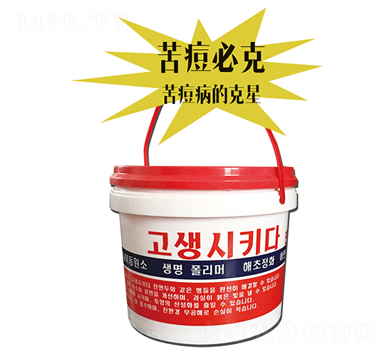 �ර�ؿ�-���A��