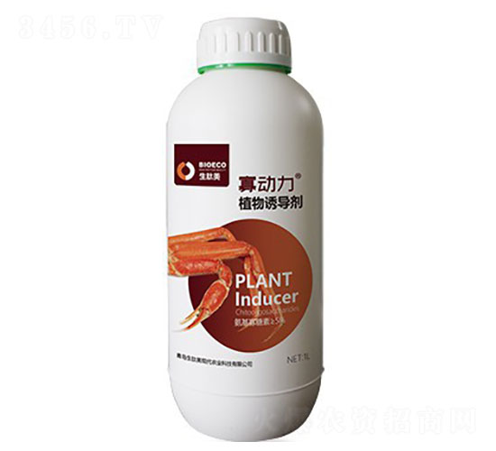 ֲ���T��(d��o)��-�ф�(d��ng)��-������