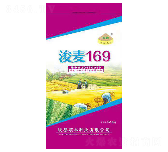 ����169-С���N��-�T�S