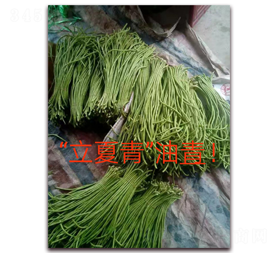 ������-�����N��-ӳɽ��