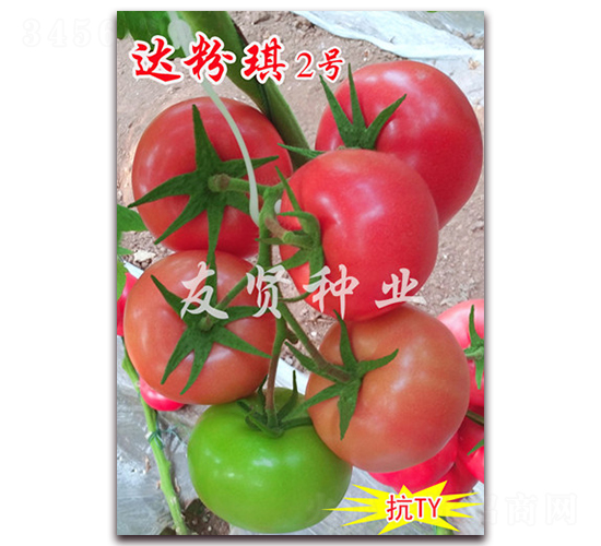 �_����2̖-��ɫ���ѷN��-���t�N�I(y��)