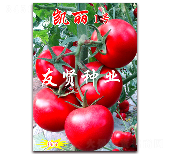 �P��1̖(h��o)-��ɫ���ѷN��-���t�N�I(y��)