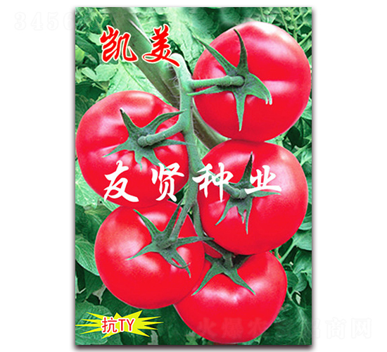 �P��-��ɫ���ѷN��-���t�N�I(y��)