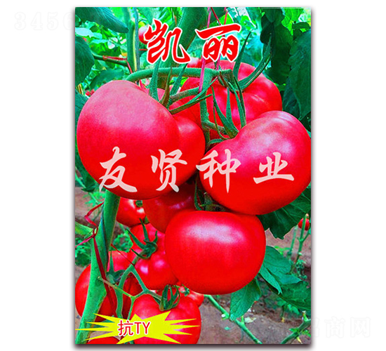 �P��-��ɫ���ѷN��-���t�N�I(y��)