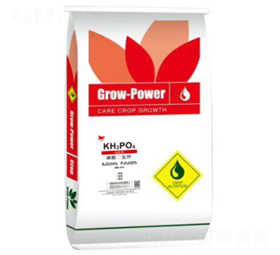 ��������-�ն���