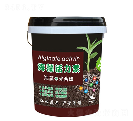 ���������-�ʺ̶��S