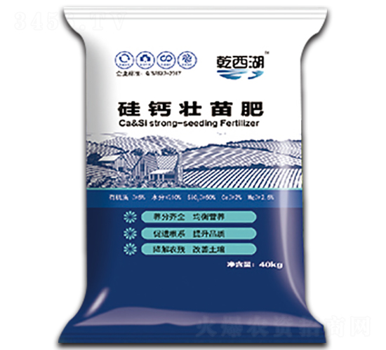 ���}�����-ʥ������