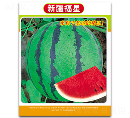 �½�����-���ϷN��-�Ƶ���