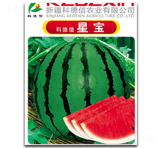 �Ƶ����ǌ�-���ϷN��-�Ƶ���