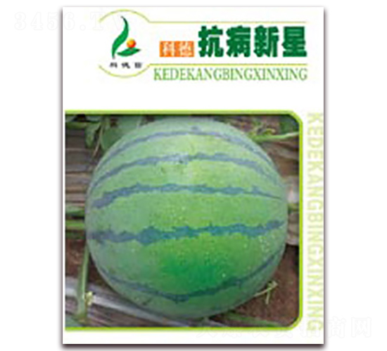 ��������-���ϷN��-�Ƶ���