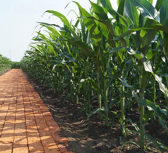 ��(r��n)�r(n��ng)718-ƽ���N�I(y��)