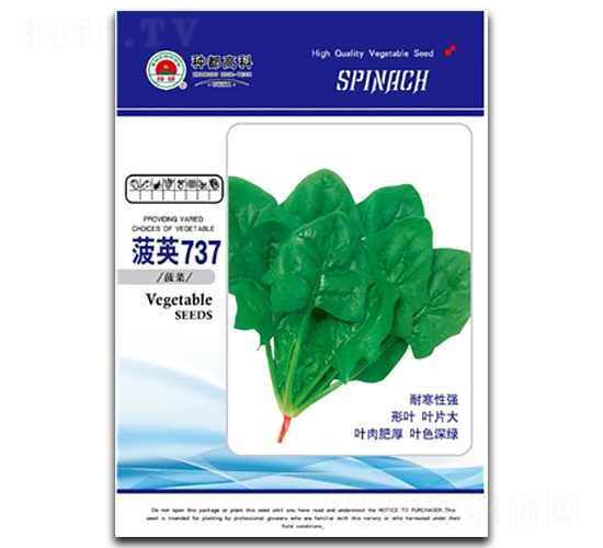 菠英737-菠菜種子-高科種業(yè)