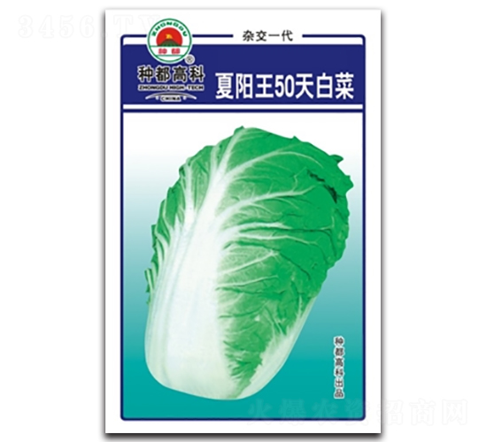 夏陽(yáng)王50天-白菜種子-高科種業(yè)