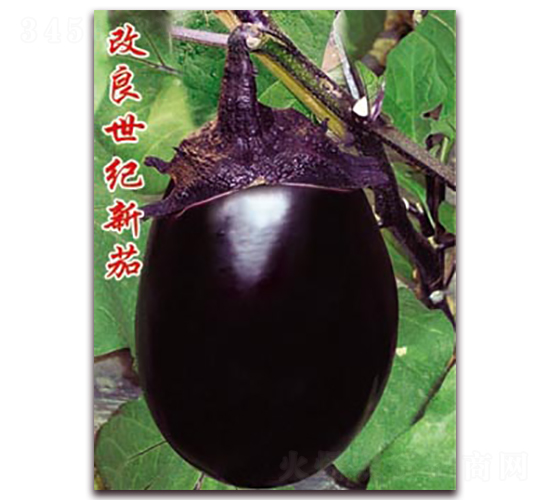 �������o(j��)����-���ӷN��-�ѹ��N�I(y��)