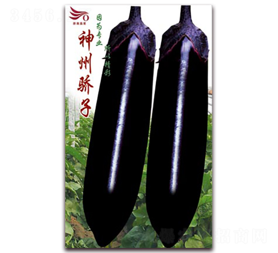 �������-���ӷN��-�ѹ��N�I(y��)