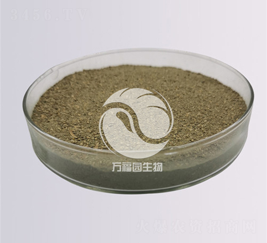 10�|�Gɫľù-�f(w��n)���@����