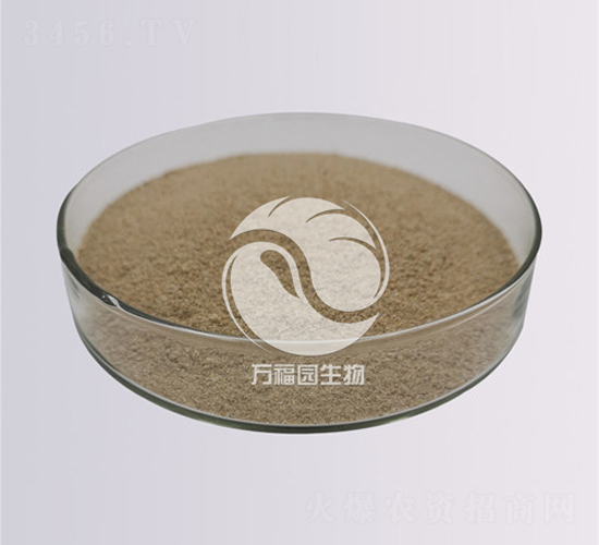 20�|���ϔM��ù-�f���@����