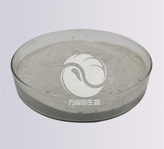 20�|ˮ�ܹ���ľù-�f���@����