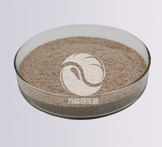 50�|���ϔM��ù-�f���@����