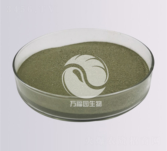 100�|����ľù-�f���@����