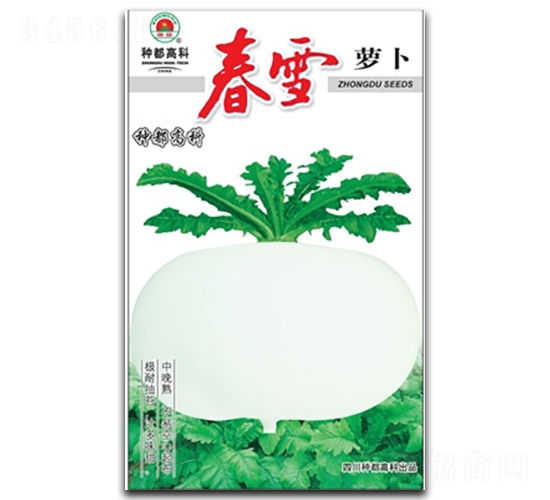 春雪-蘿卜種子-高科種業(yè)