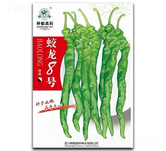 蛟龍8號(hào)-辣椒種子-高科種業(yè)
