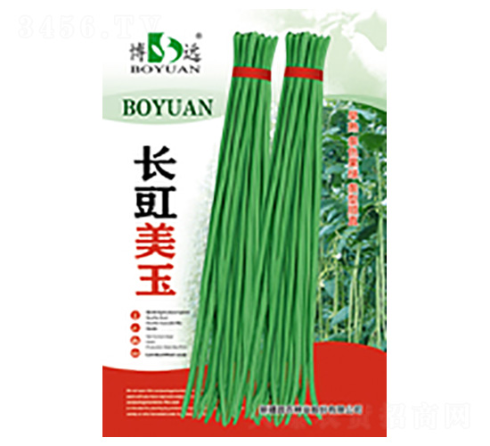長豇美玉-昌農(nóng)種業(yè)
