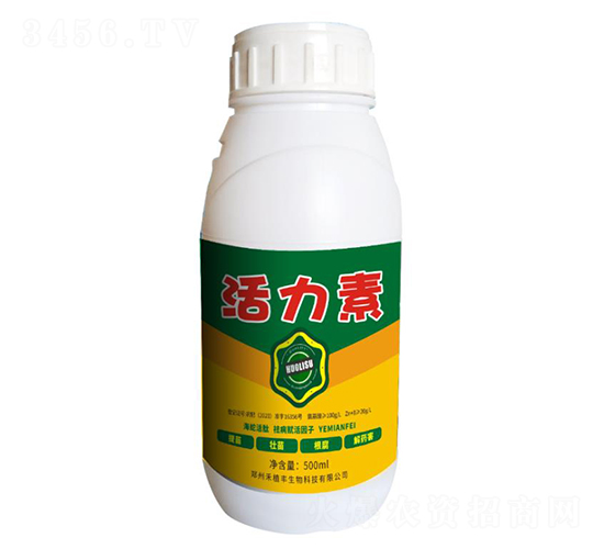 ������-��ֲ�S