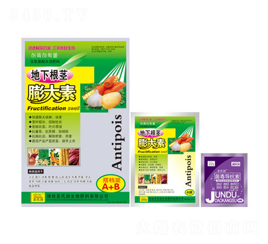 地下膨大素-圣氏潤