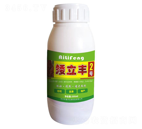 �����S2̖-��ֲ�S