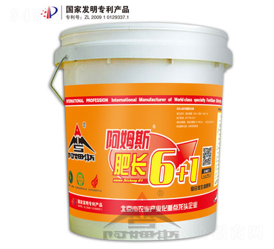 ���L6+1-��ķ˹