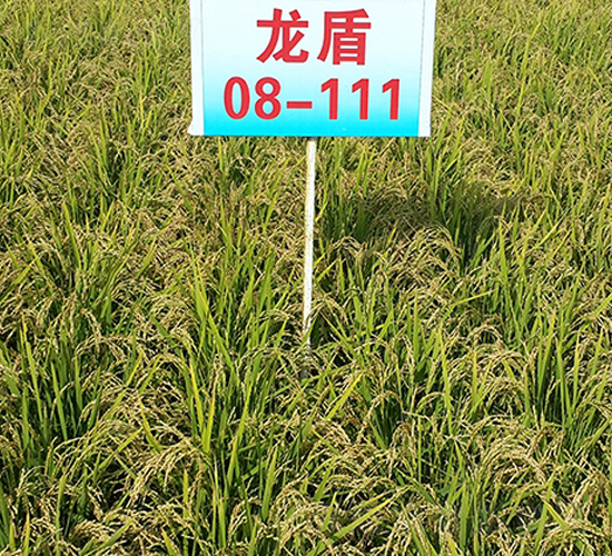 ����08-111-ˮ���N��-ɏ�R�r(n��ng)�I(y��)