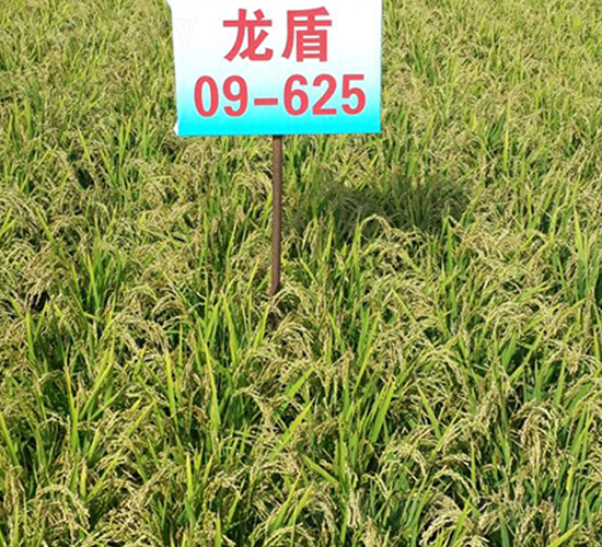 ����09-625-ˮ���N��-ɏ�R�r(n��ng)�I(y��)