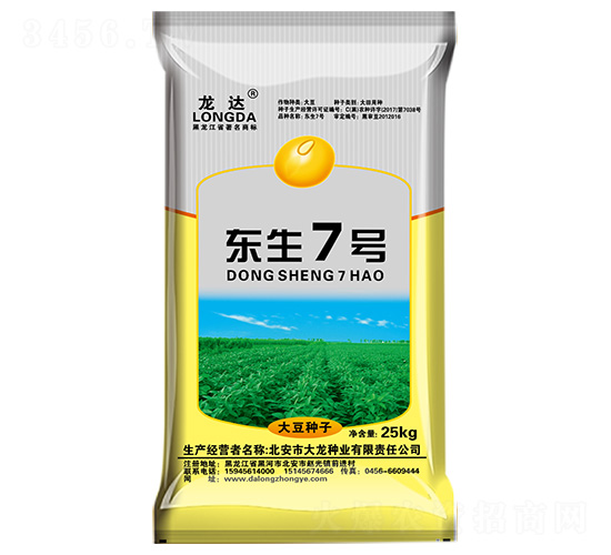 東生7號-龍達(dá)-大龍種業(yè)