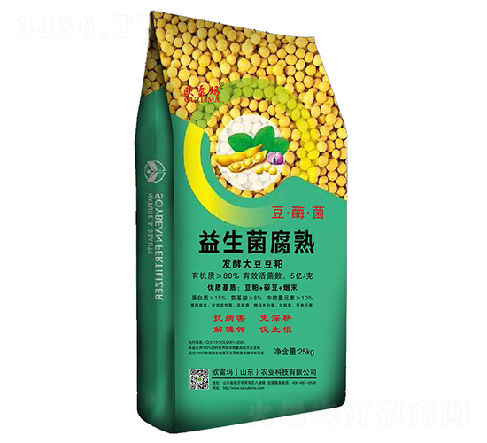 ����������l(f��)�ʹ󶹶���-�W�׬�